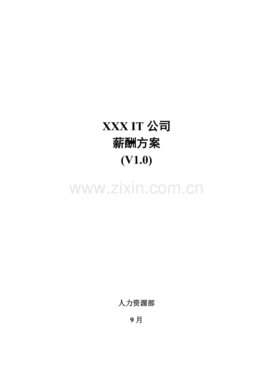 IT公司薪酬专题方案.docx_第1页