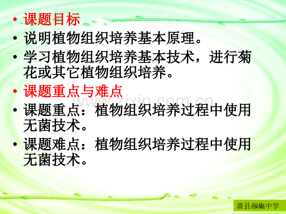 人教版教学生物选修菊花的组织培养市公开课一等奖百校联赛特等奖课件.pptx_第2页