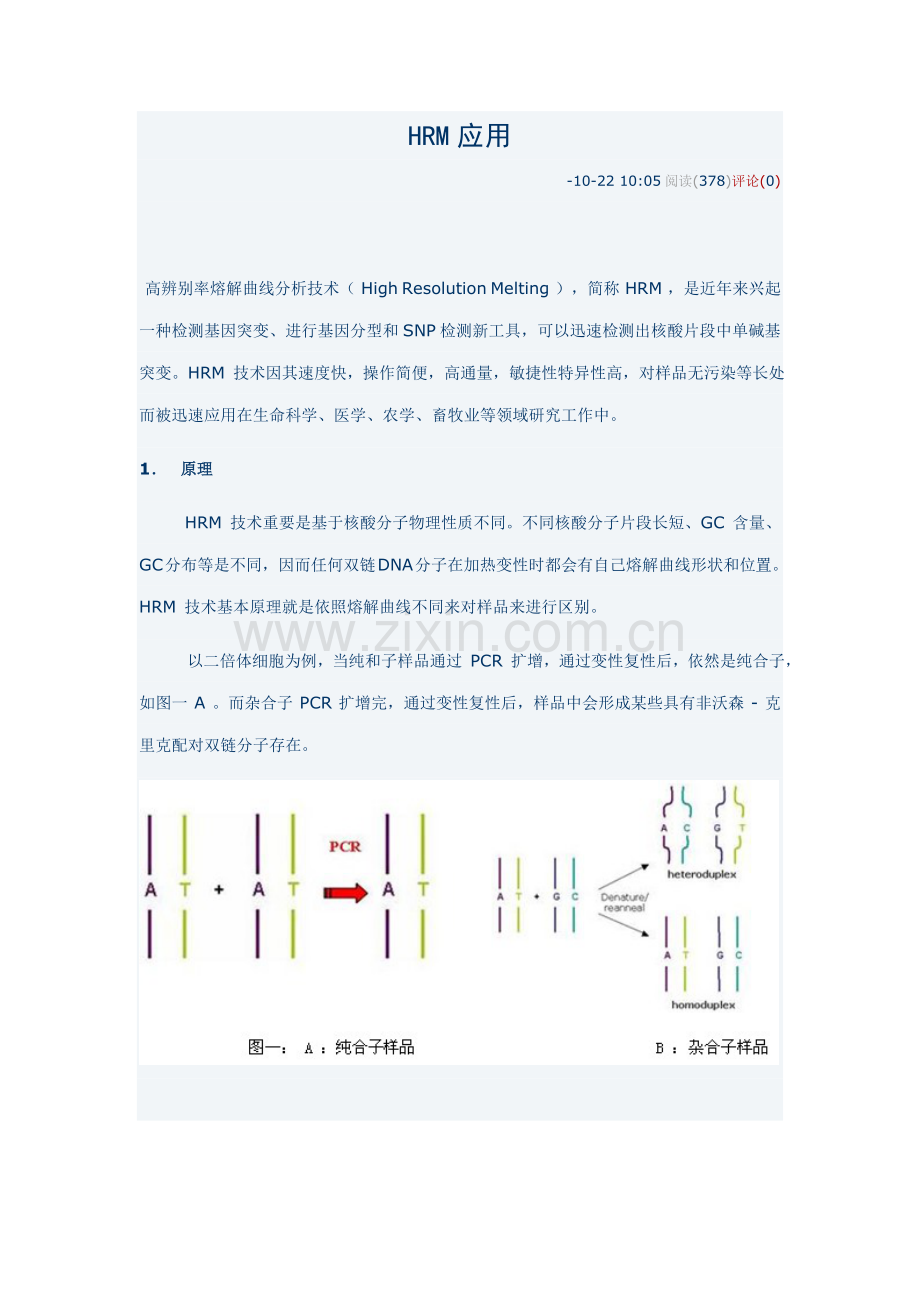 HRM操作作业流程专业资料.doc_第1页