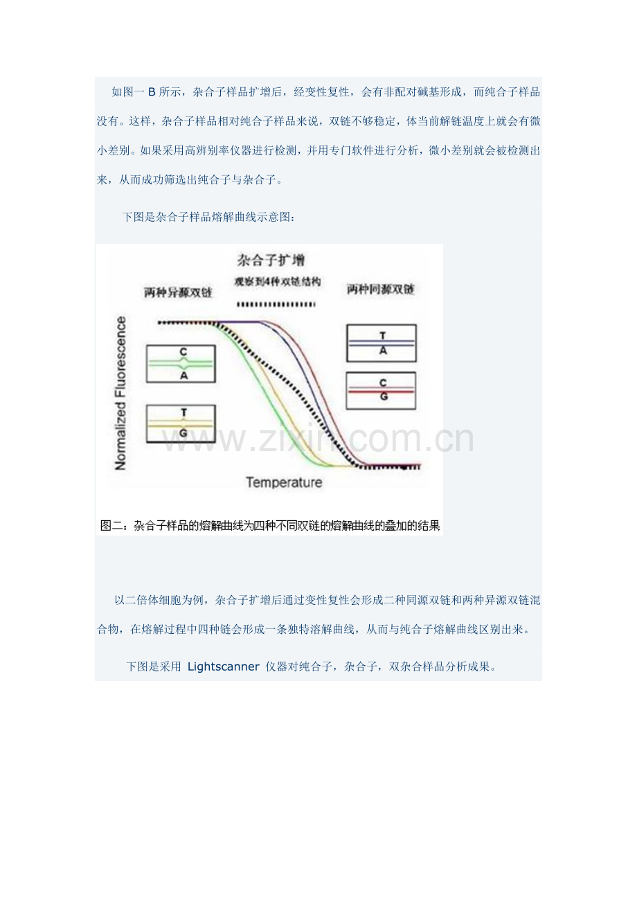 HRM操作作业流程专业资料.doc_第2页