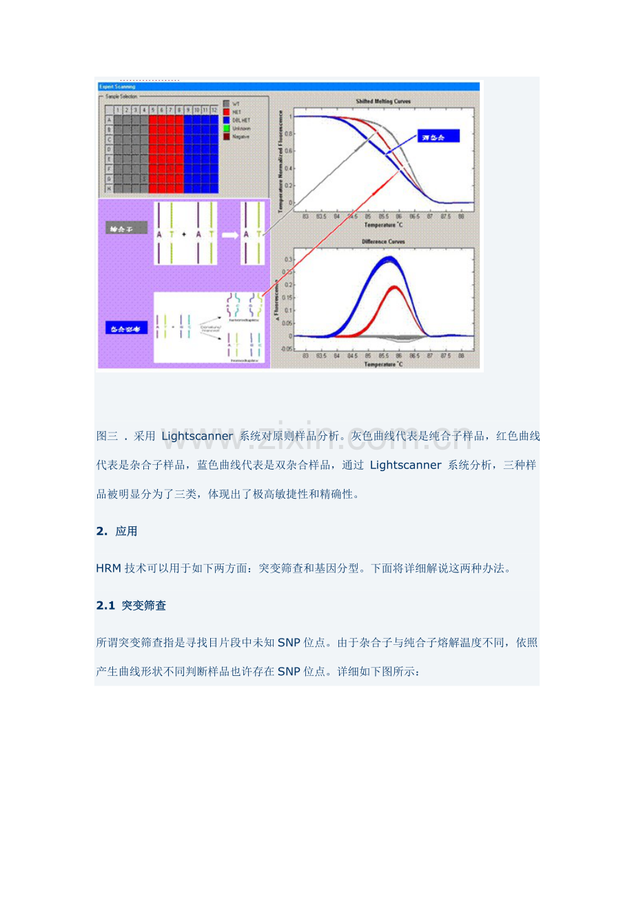 HRM操作作业流程专业资料.doc_第3页