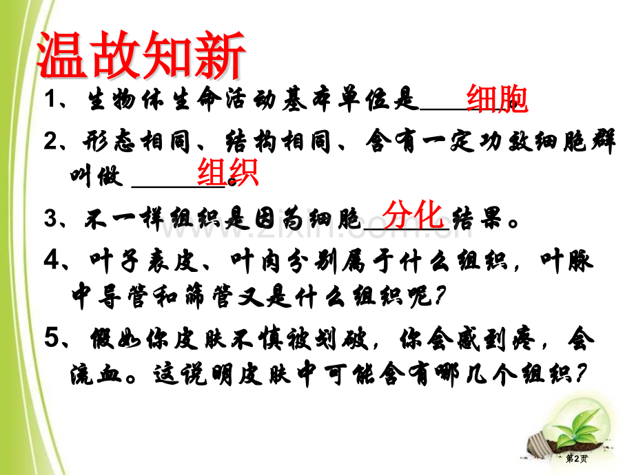 多细胞生物体的组成课件省公开课一等奖新名师优质课比赛一等奖课件.pptx_第2页