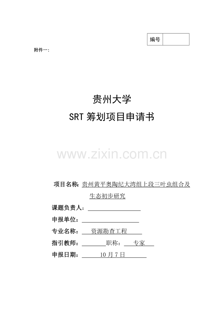 SRT综合项目专业资料.doc_第1页