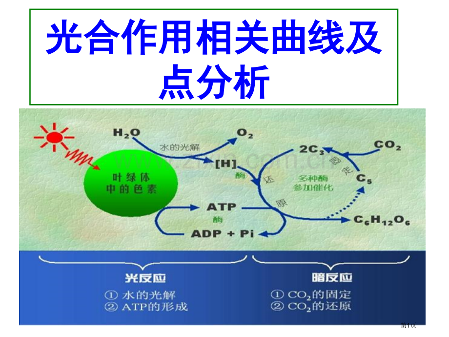 光合作用曲线和点的变化专题市公开课一等奖百校联赛获奖课件.pptx_第1页