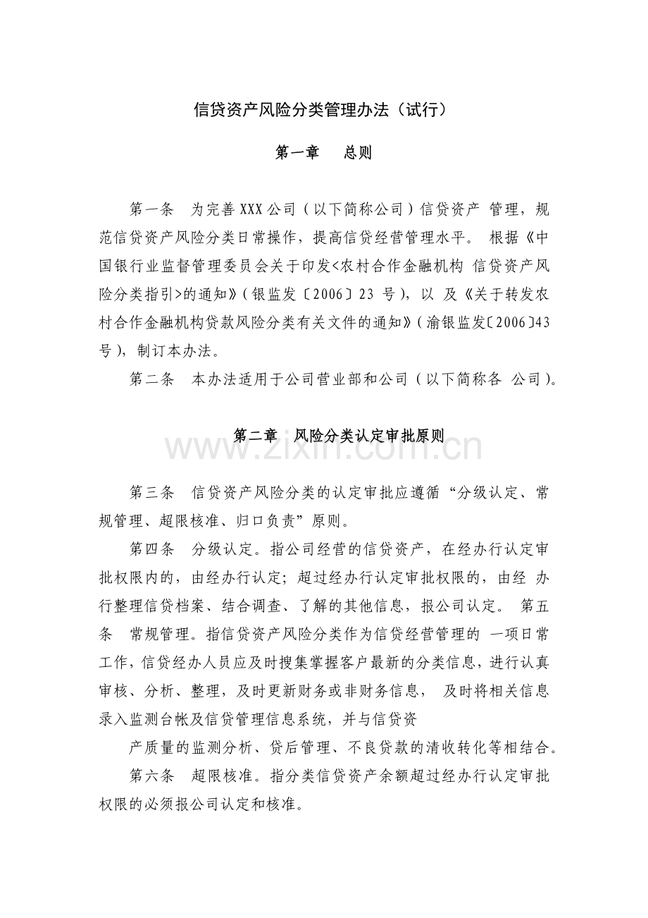 小额公司信贷资产风险分类管理办法(试行)模版.docx_第1页