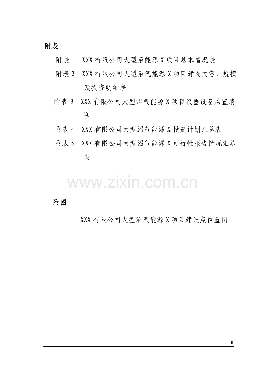 公司大型沼气能源环境工程建设投资可行性研究报告书.doc_第3页