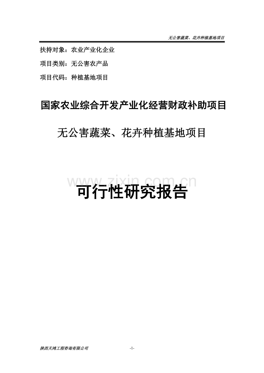 无公害蔬菜和特色花卉种植基地建设项目申请建设可研报告修改稿.doc_第1页