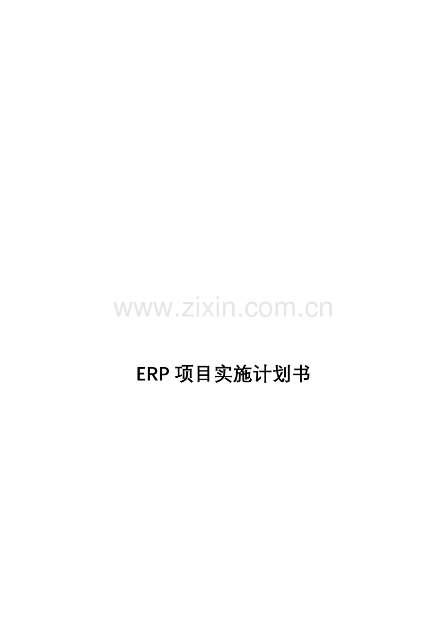 ERP综合项目实施专题计划书.doc_第1页