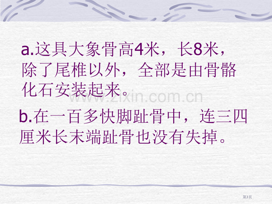 黄河象省公开课一等奖新名师优质课比赛一等奖课件.pptx_第3页