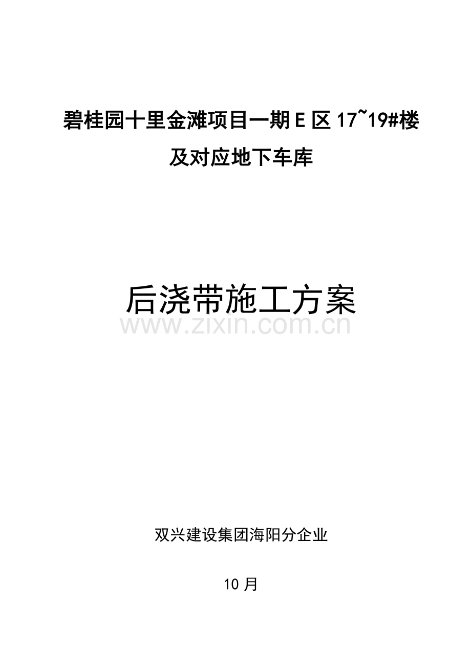 后浇带止水钢板安装节点综合标准施工专业方案.doc_第1页