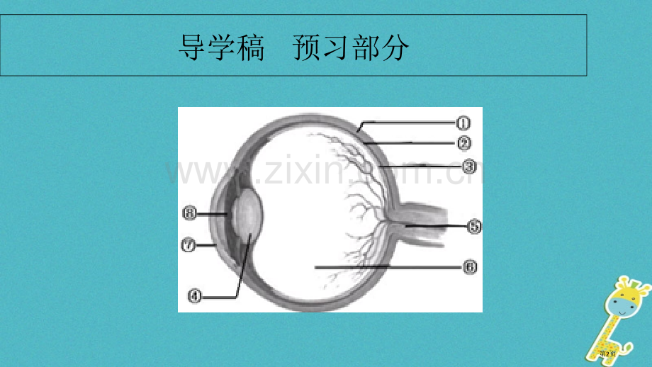 七年级生物下册4.6.1人体对外界环境的感知讲义1市公开课一等奖百校联赛特等奖大赛微课金奖PPT课件.pptx_第2页