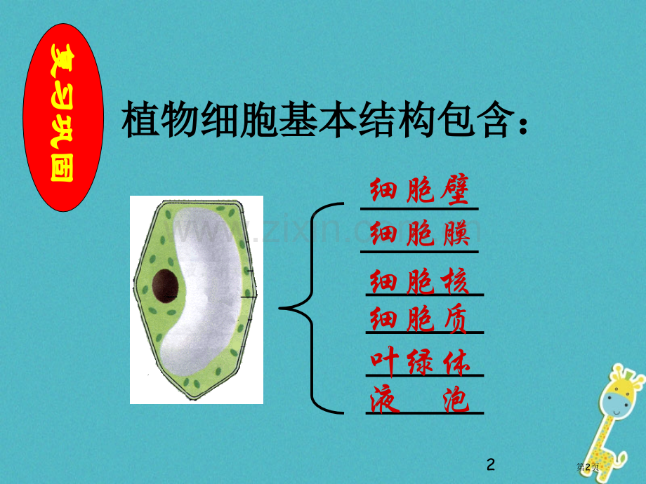 七年级生物上册2.1.3动物细胞讲义4市公开课一等奖百校联赛特等奖大赛微课金奖PPT课件.pptx_第2页