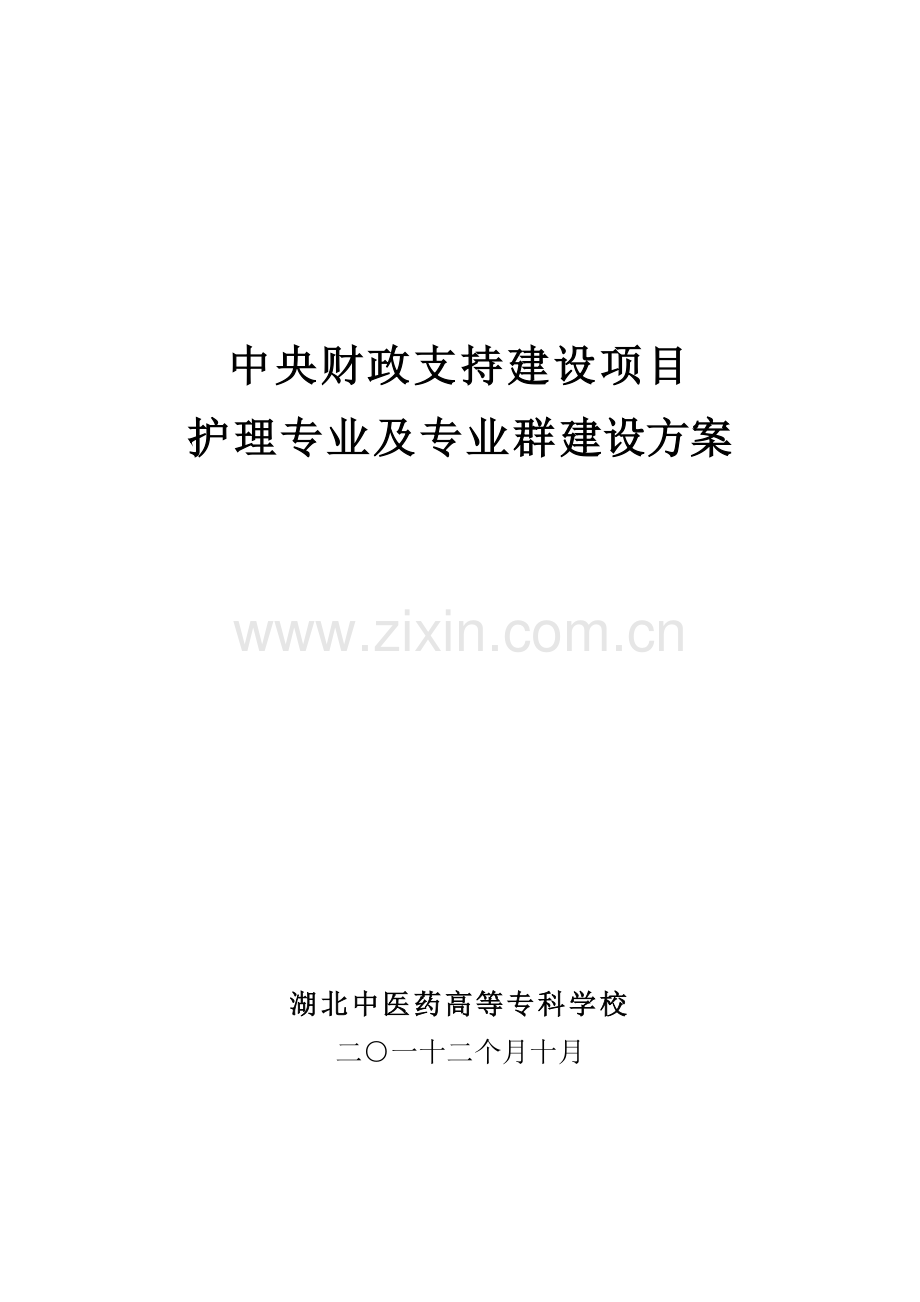 护理专业及专业群建设专项方案.doc_第1页