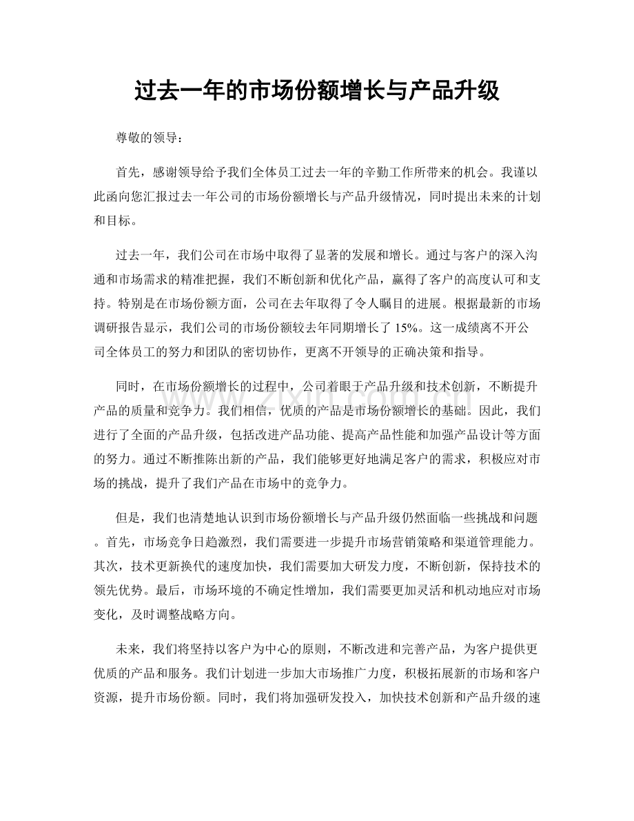 过去一年的市场份额增长与产品升级.docx_第1页