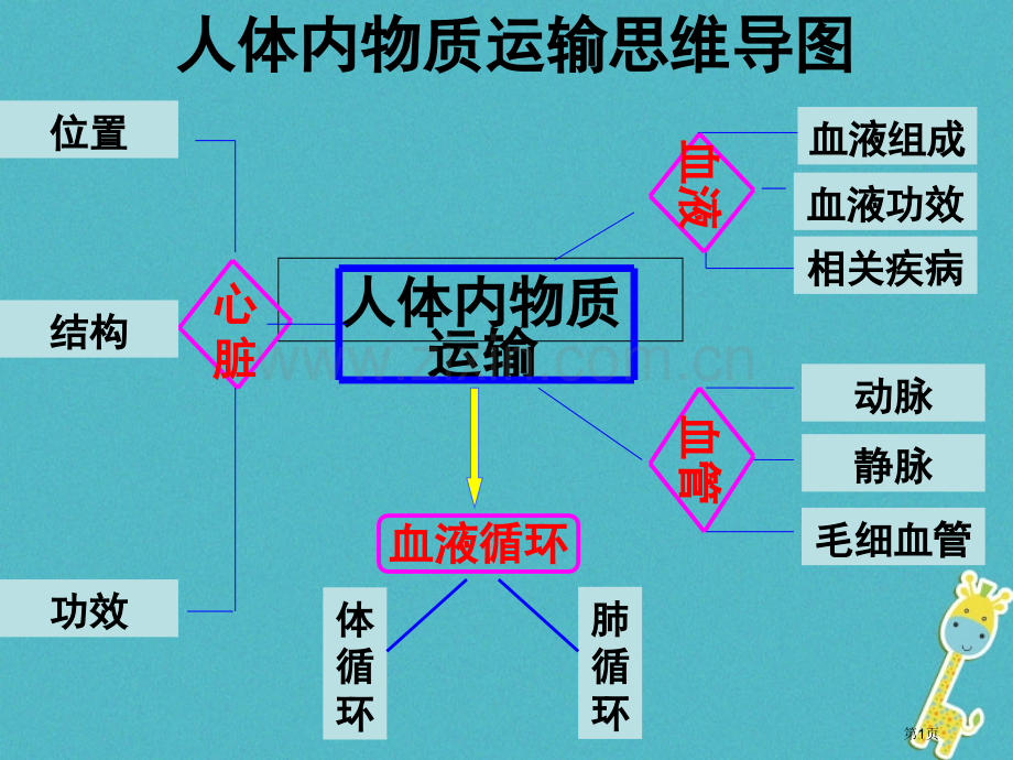 七年级生物下册第四单元第四章第三节心脏教案市公开课一等奖百校联赛特等奖大赛微课金奖PPT课件.pptx_第1页