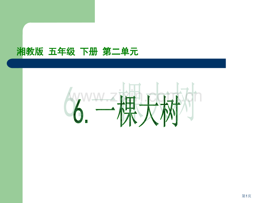 五年级上册一棵大树湘教版市公开课一等奖百校联赛特等奖课件.pptx_第1页