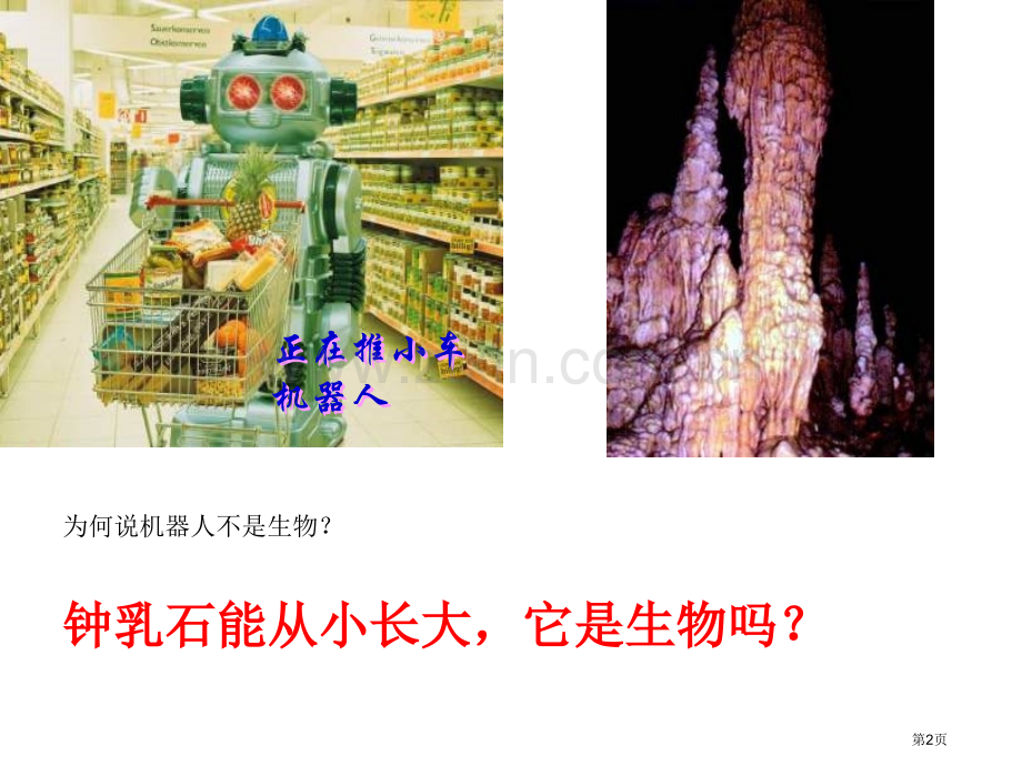 生物的特征.讲义省公共课一等奖全国赛课获奖课件.pptx_第2页