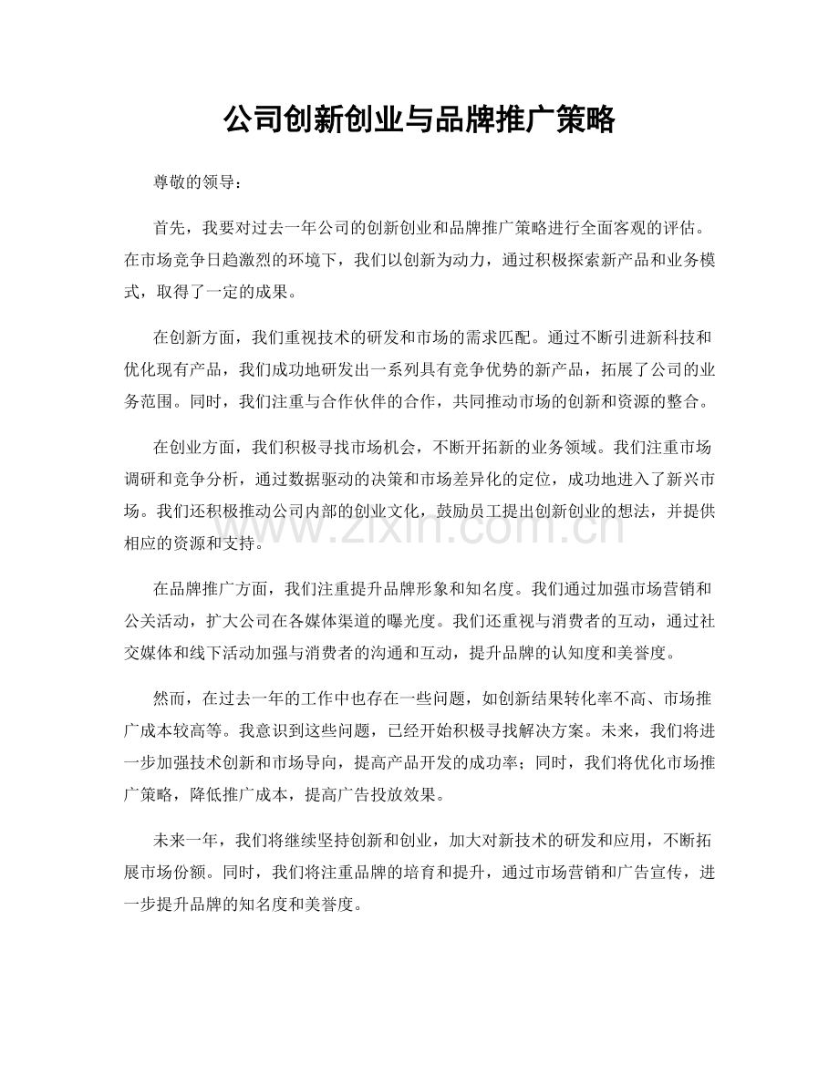 公司创新创业与品牌推广策略.docx_第1页