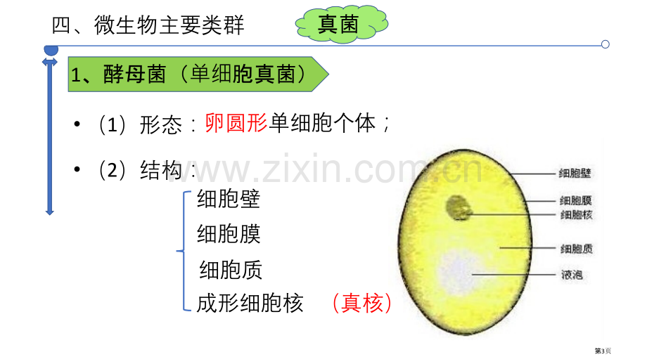 微生物在生物圈中的作用教学课件省公开课一等奖新名师优质课比赛一等奖课件.pptx_第3页