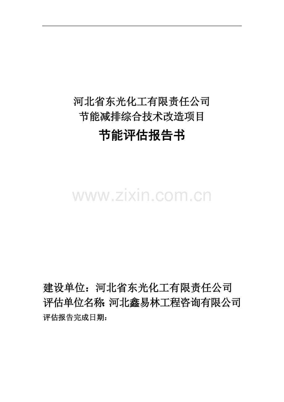 东光化工有限责任公司节能减排综合技术改造项目节能评估报告书.doc_第1页