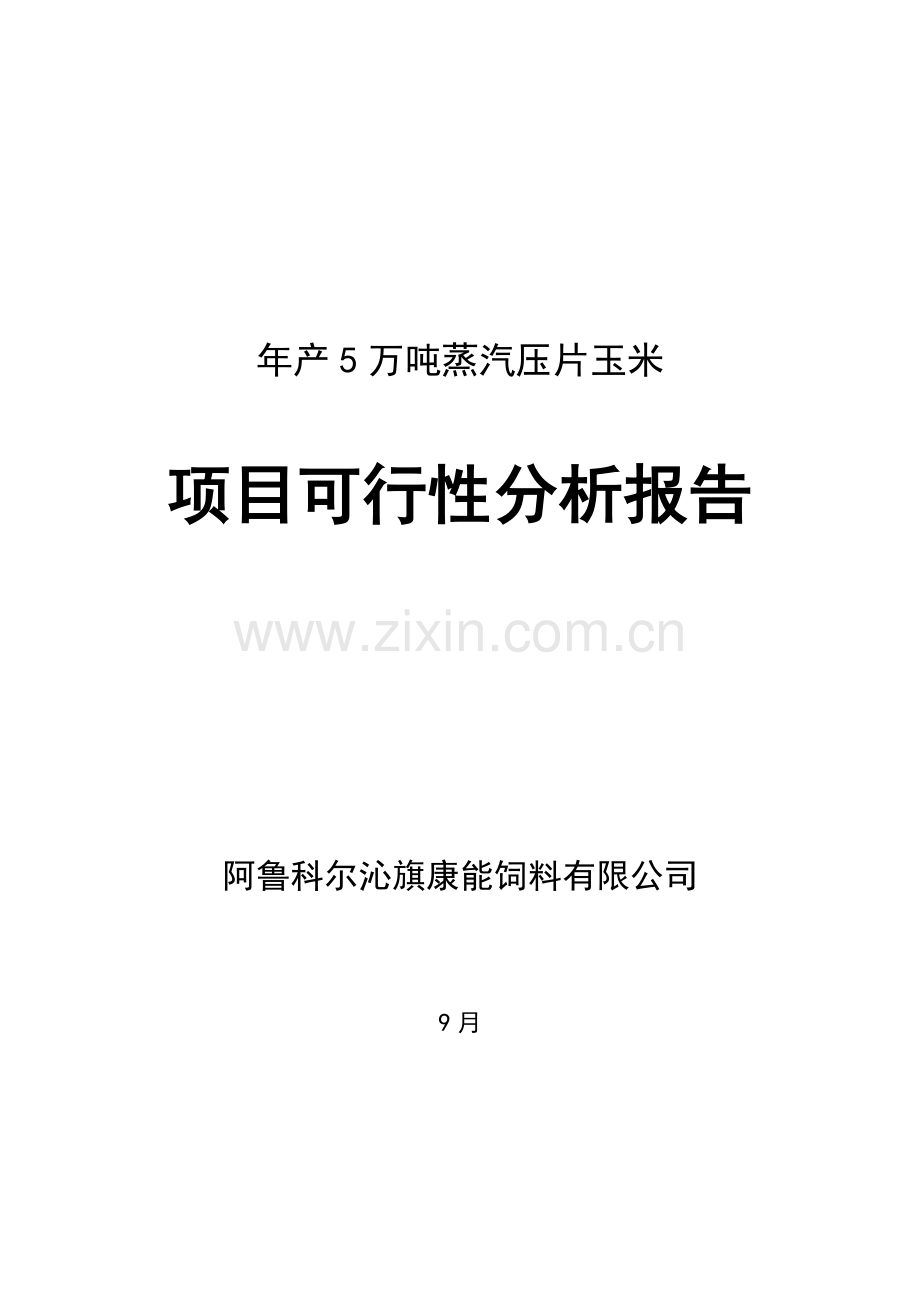 年产4万吨玉米压片建设综合项目实施可行性分析报告报告材料.doc_第1页