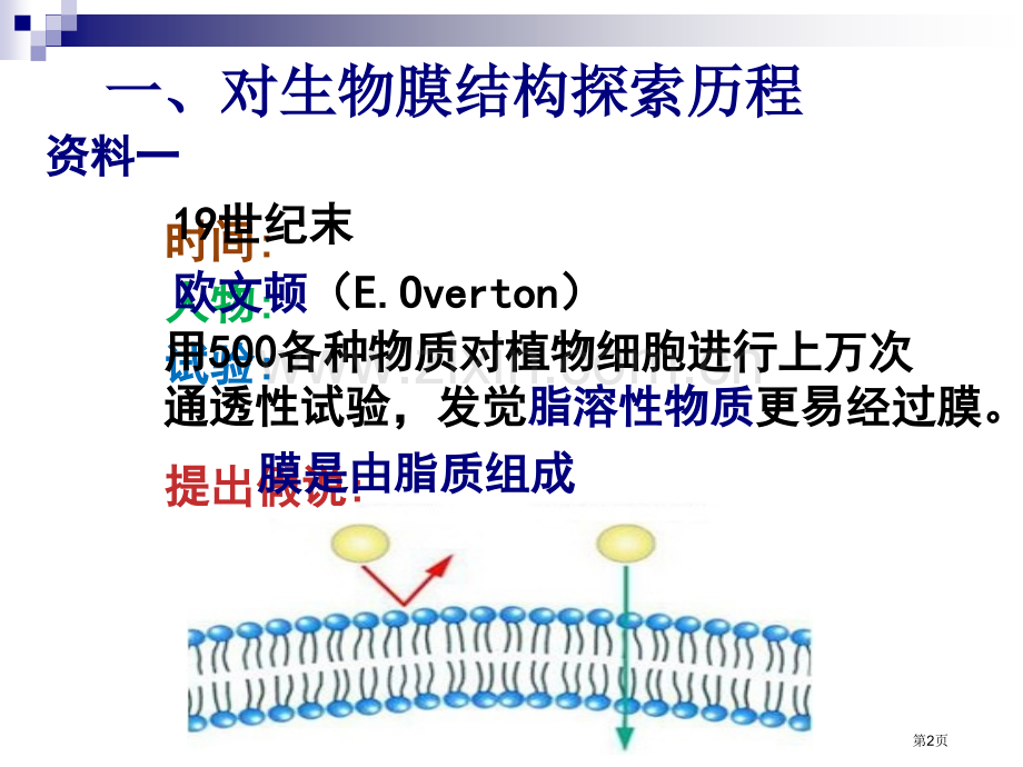 生物膜的流动镶嵌模型课件市公开课一等奖百校联赛特等奖课件.pptx_第2页