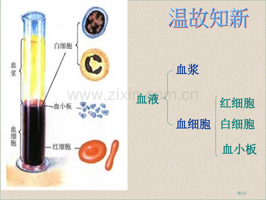 七年级生物(0002)省公共课一等奖全国赛课获奖课件.pptx_第2页