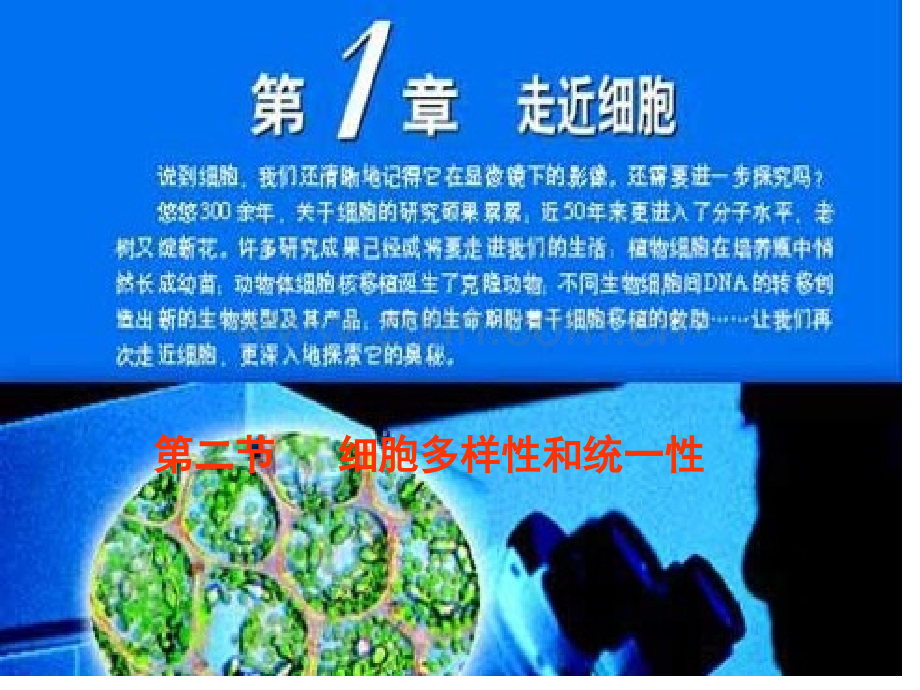 人教版教学细胞的多样性与统一性上学期省公共课一等奖全国赛课获奖课件.pptx_第1页