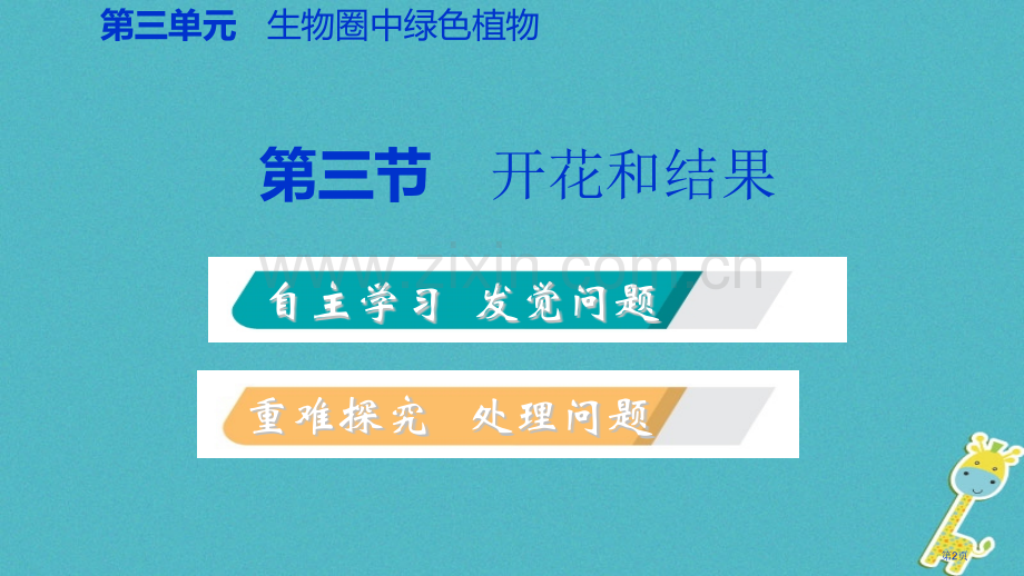 七年级生物上册第三单元第二章第三节开花和结果市公开课一等奖百校联赛特等奖大赛微课金奖PPT课件.pptx_第2页