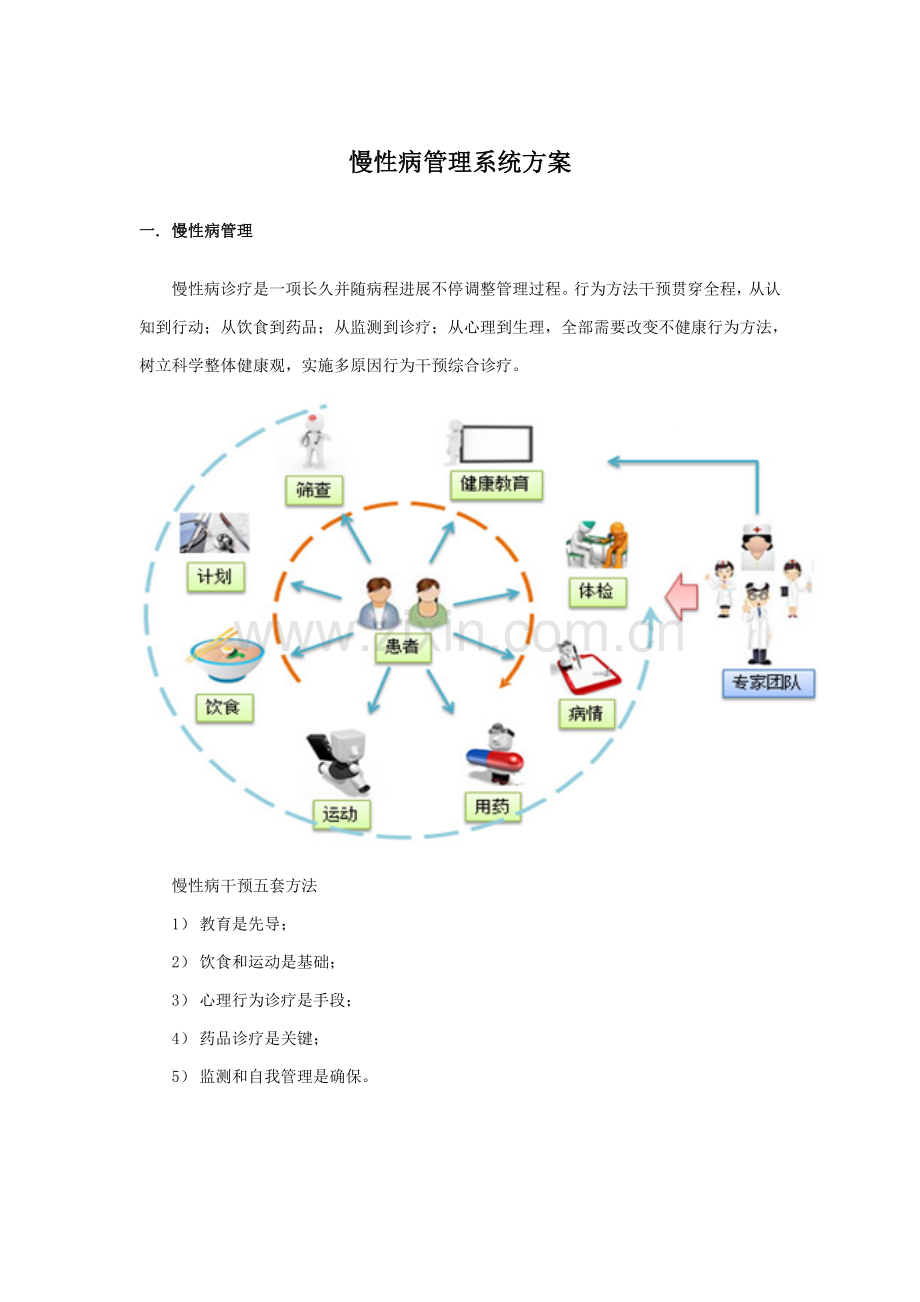 慢性病标准管理系统建设专项方案.doc_第1页