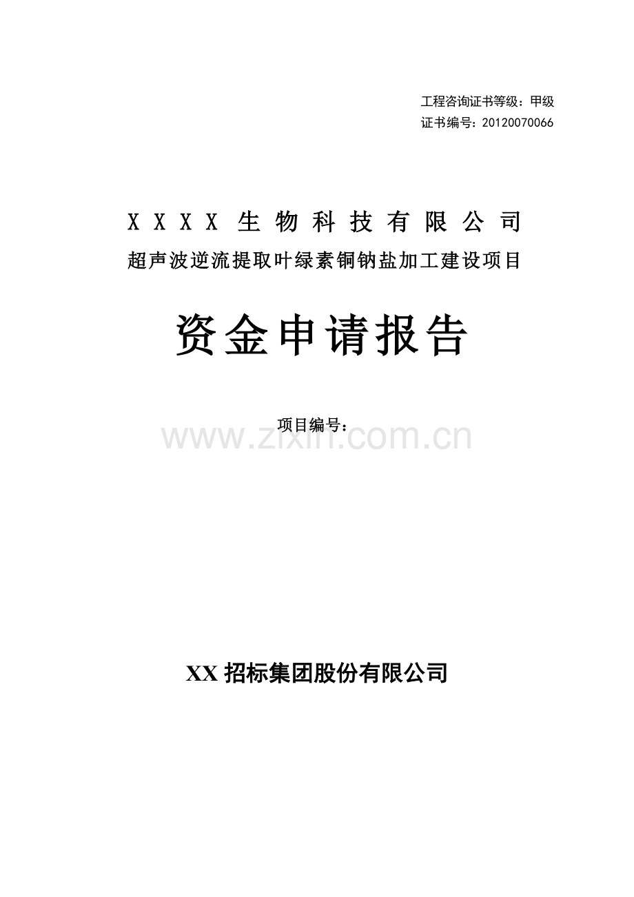 超声波逆流提取叶绿素铜钠盐加工建设项目资金申请报告.doc_第1页