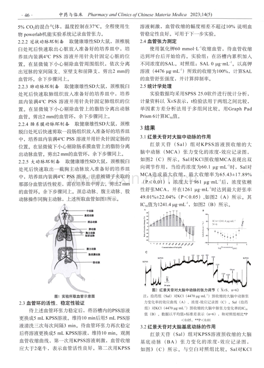 红景天苷对离体血管的张力作用研究.pdf_第3页