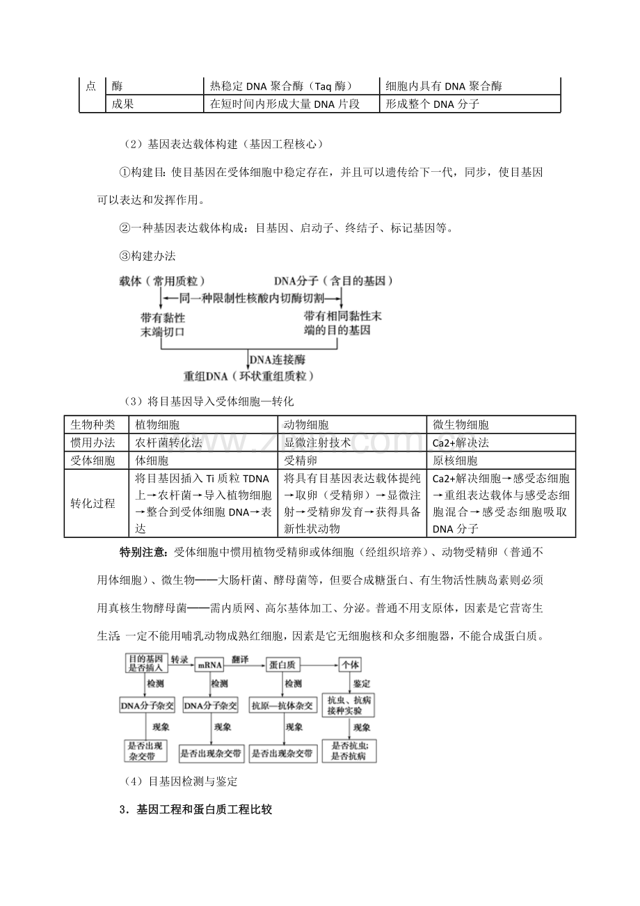 基因综合项目工程与蛋白质综合项目工程知识归纳及试题例析.doc_第2页