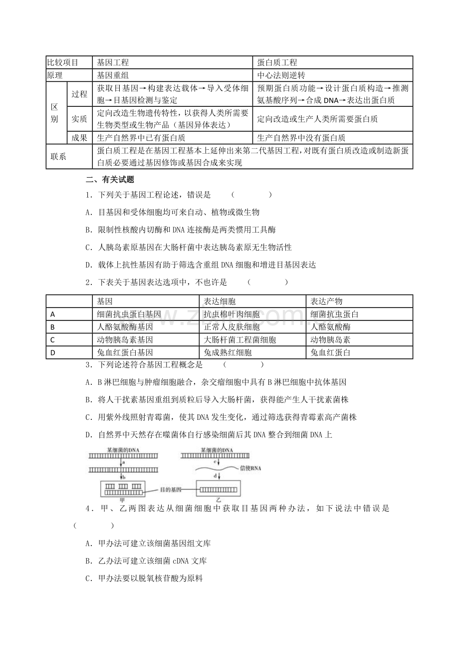 基因综合项目工程与蛋白质综合项目工程知识归纳及试题例析.doc_第3页