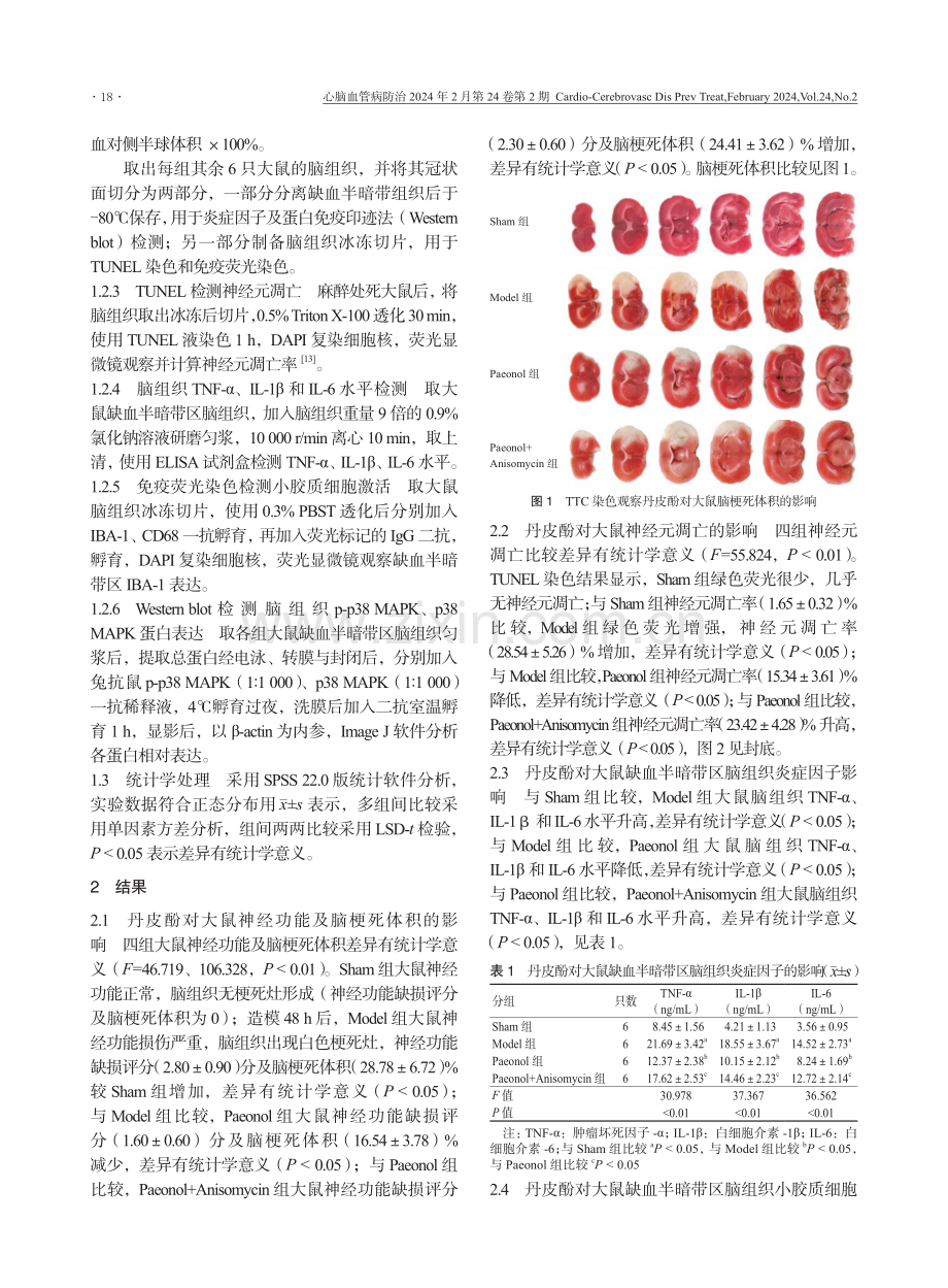 丹皮酚通过调节p38丝裂原活化蛋白激酶对缺血性脑卒中大鼠神经炎症的影响.pdf_第3页