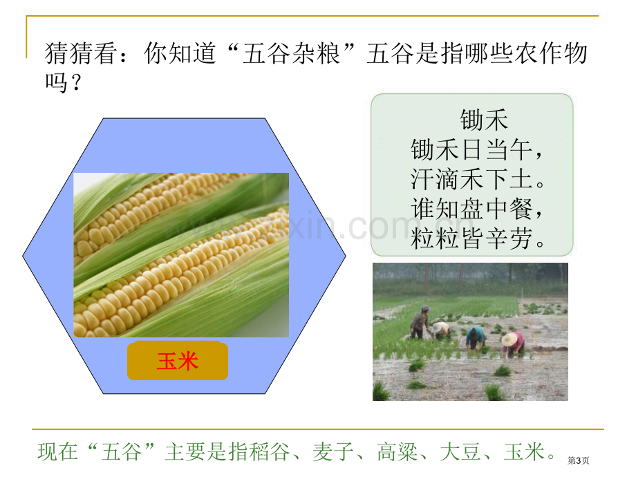 农业的分布省公开课一等奖新名师优质课比赛一等奖课件.pptx_第3页