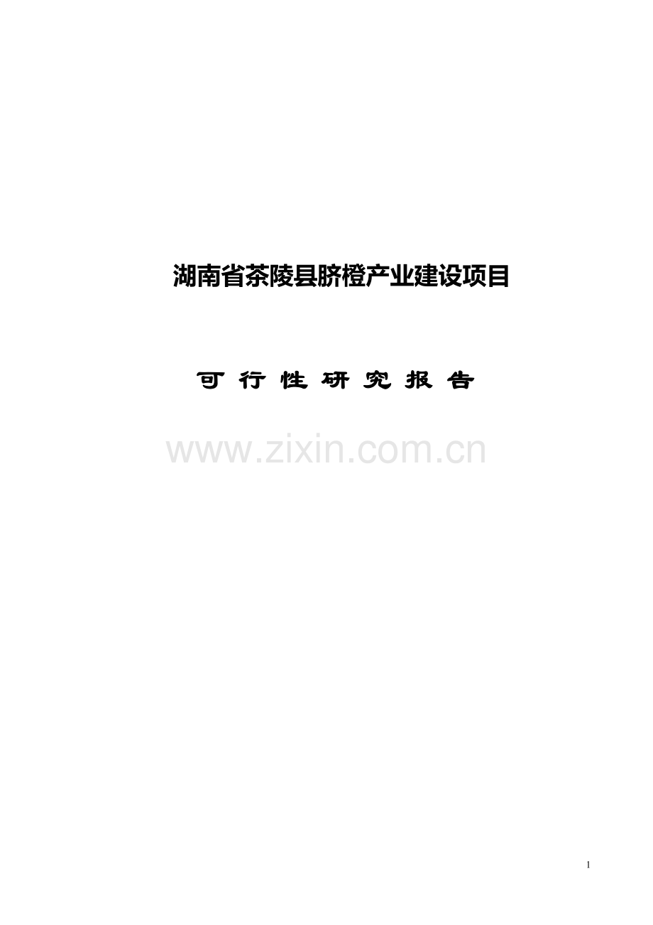 茶陵县脐橙产业化建设可研报告.doc_第1页