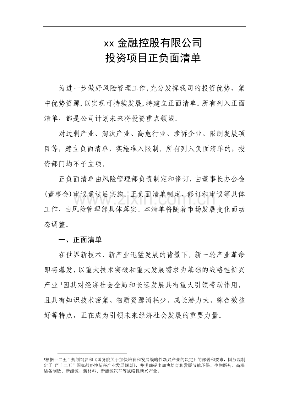 企业投资项目正负面清单制模版模版.docx_第1页