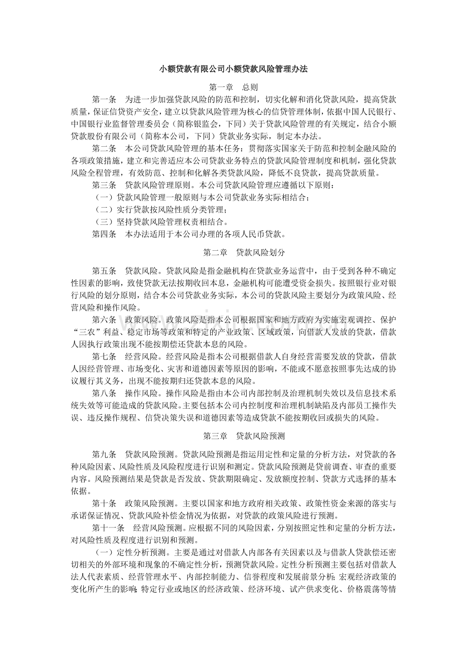 小额贷款有限公司小额贷款风险管理办法模版.docx_第1页