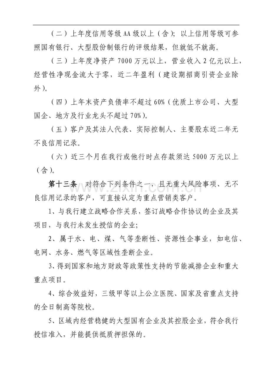 银行法人授信客户分类管理办法模版.docx_第3页