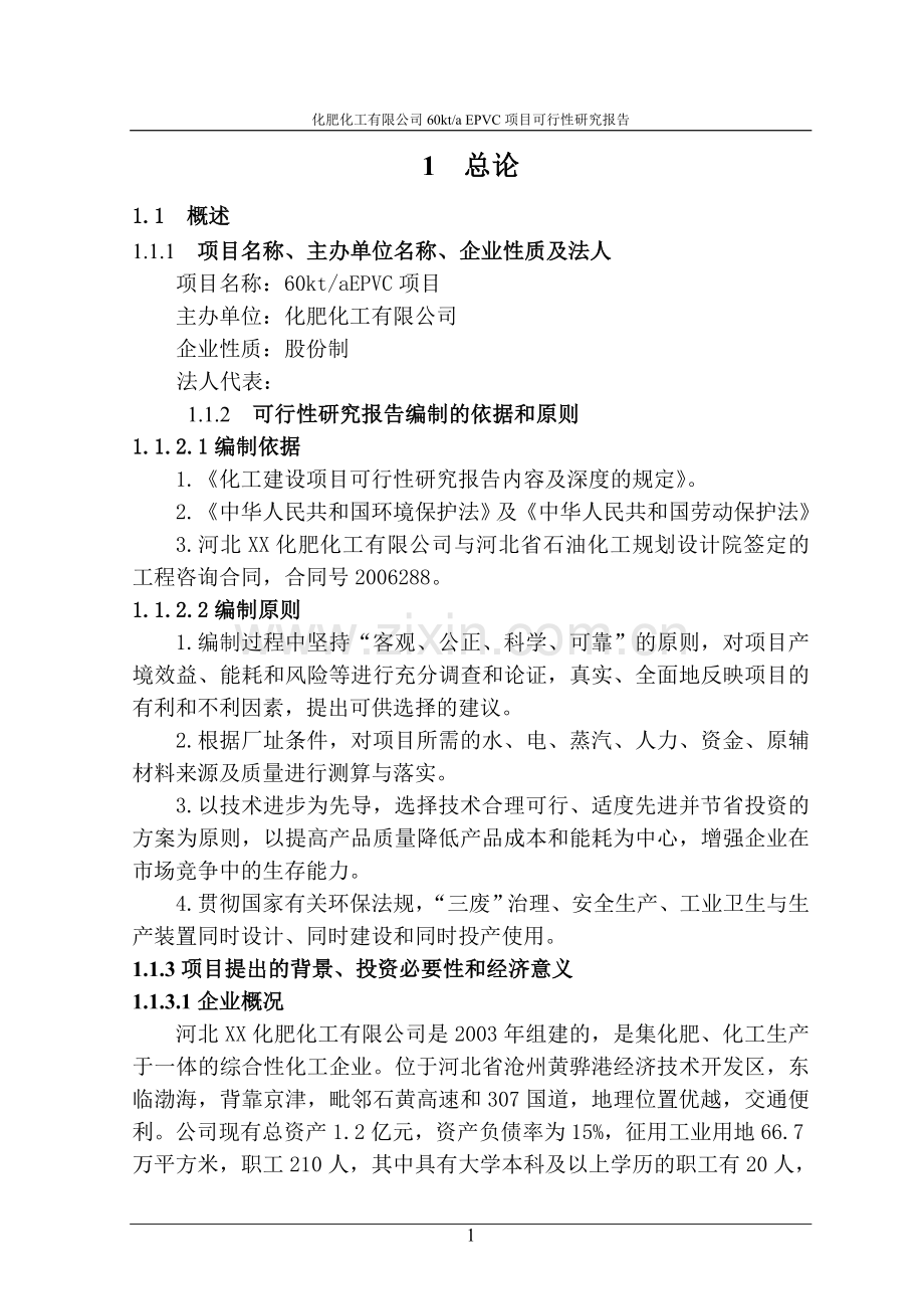 河北某化肥化工有限公司60kta-epvc项目申请立项可行性研究报告.doc_第1页