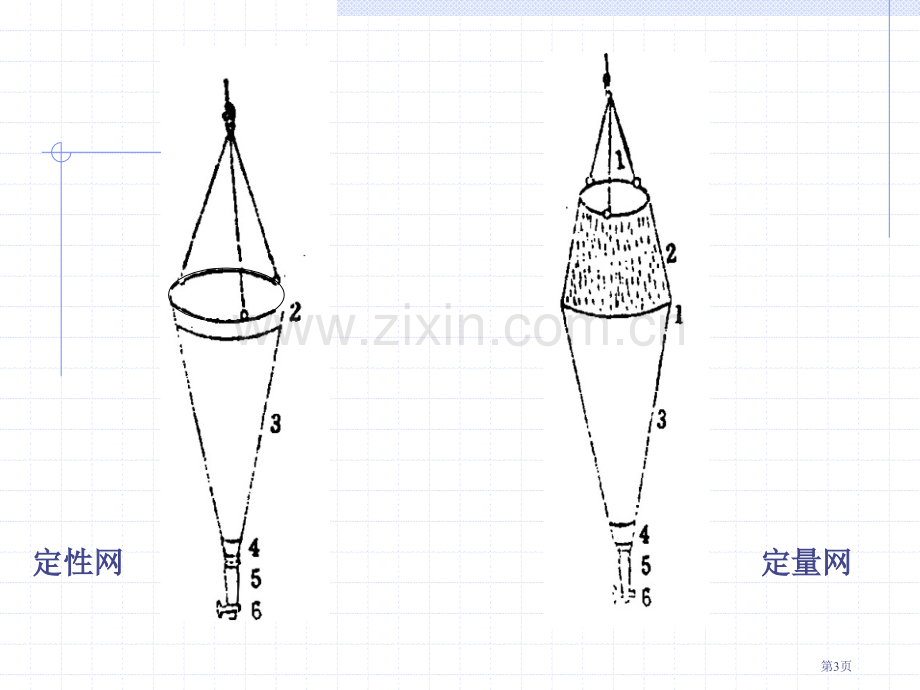 浮游生物的测定省公共课一等奖全国赛课获奖课件.pptx_第3页