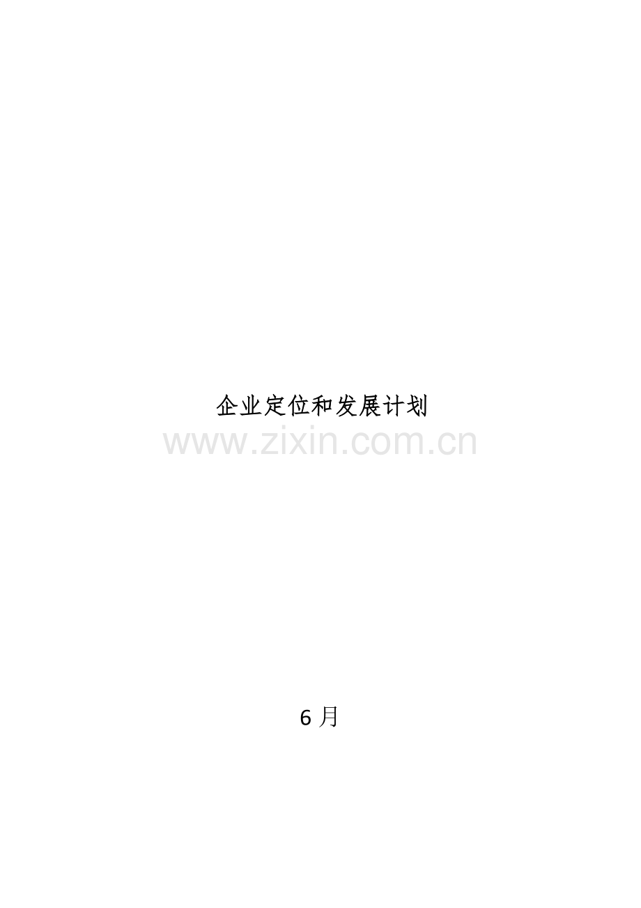 公司定位和发展综合规划.docx_第1页