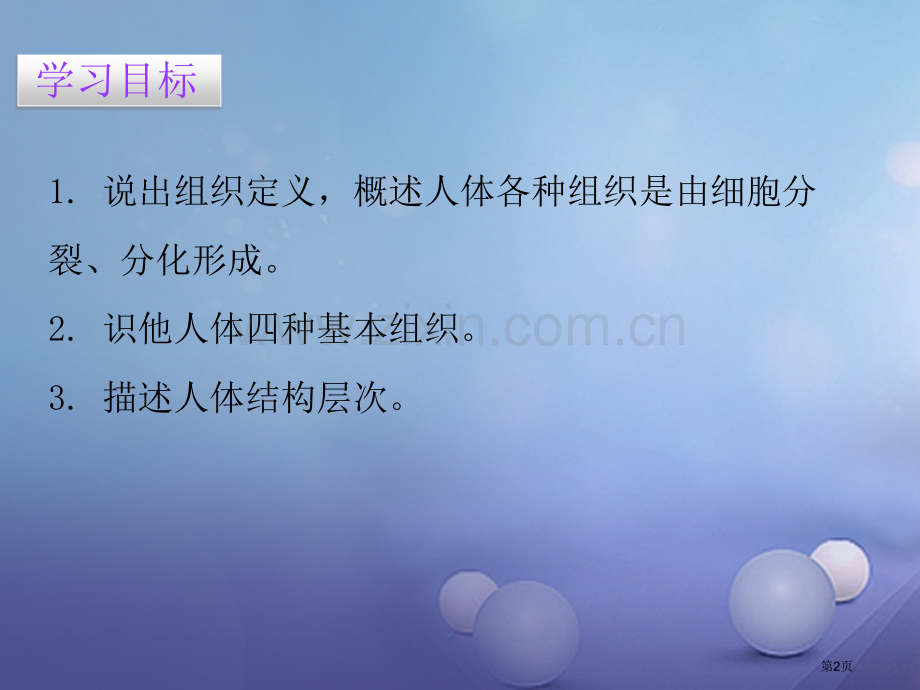 七年级生物上册第二单元第二章第二节动物体的结构层次讲义市公开课一等奖百校联赛特等奖大赛微课金奖PPT.pptx_第2页