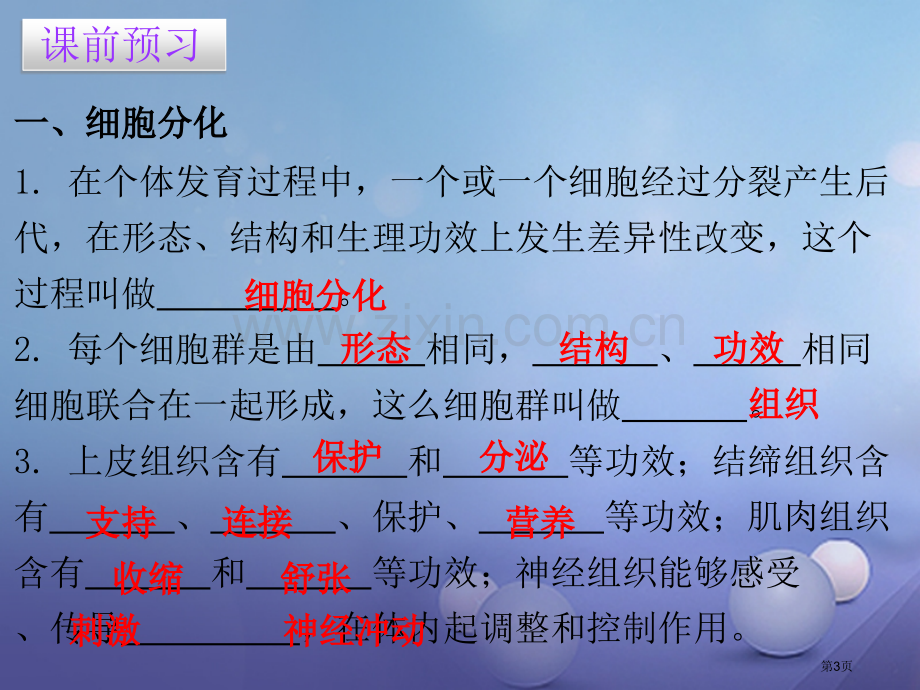 七年级生物上册第二单元第二章第二节动物体的结构层次讲义市公开课一等奖百校联赛特等奖大赛微课金奖PPT.pptx_第3页