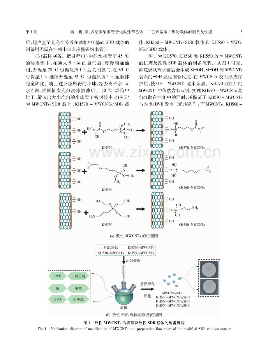 多壁碳纳米管杂化改性苯乙烯-二乙烯基苯共聚物载体的制备及性能.pdf_第3页