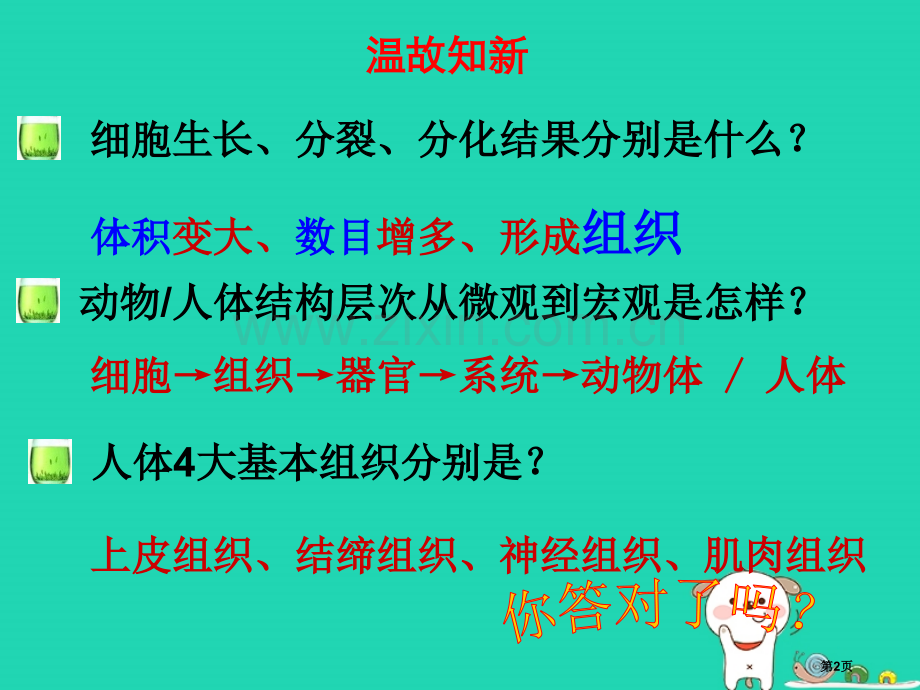 七年级生物上册2.2.3植物体的结构层次教案市公开课一等奖百校联赛特等奖大赛微课金奖PPT课件.pptx_第2页