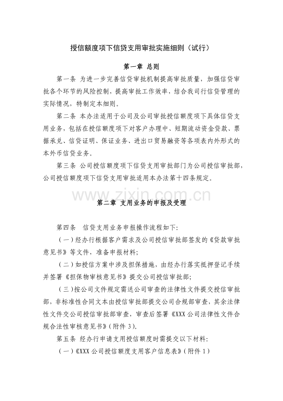 小额公司授信额度项下信贷支用审批实施细则(试行)模版.docx_第1页