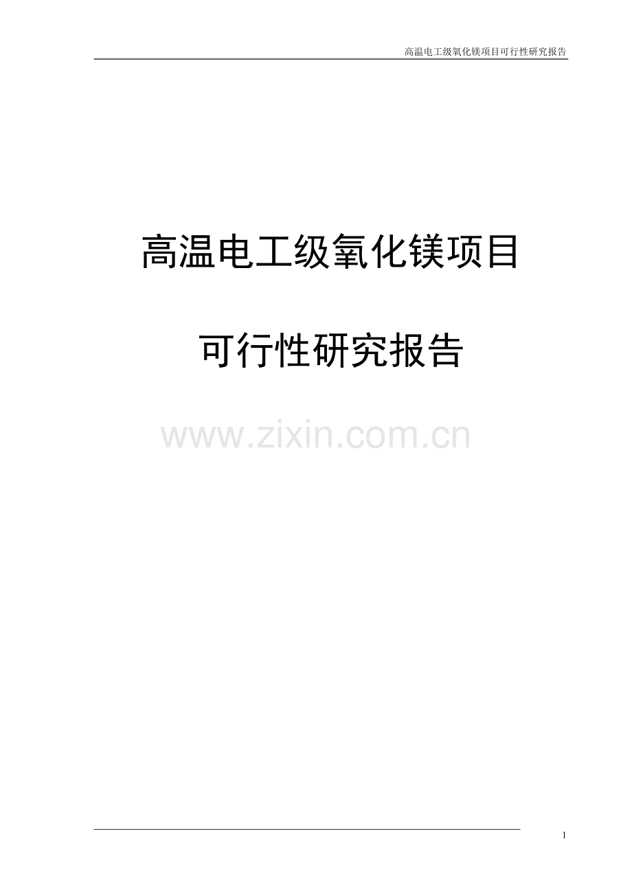 高温电工级氧化镁新建项目可行性研究报告.doc_第1页