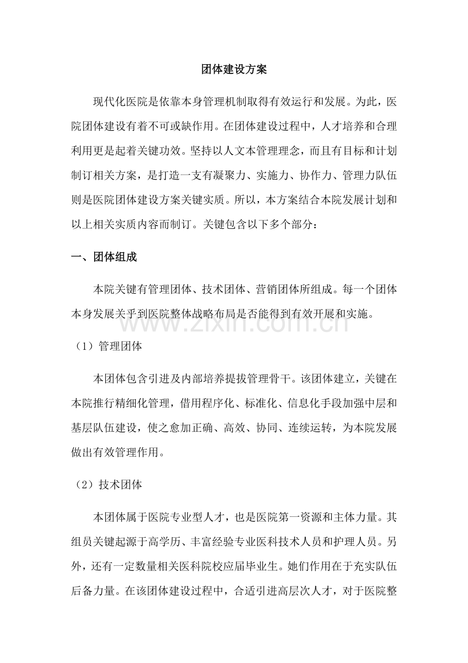 弘大医院团队建设专项方案.docx_第1页